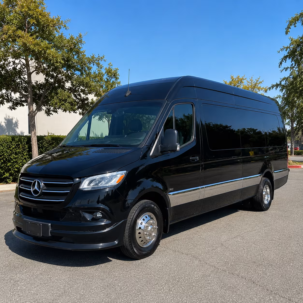 wichita 10 passenger sprinter van